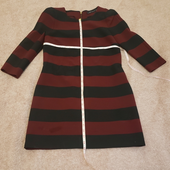 Zara Mini Dress - Picture 10 of 11